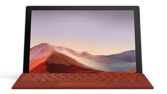 东山清洁和维护 Surface